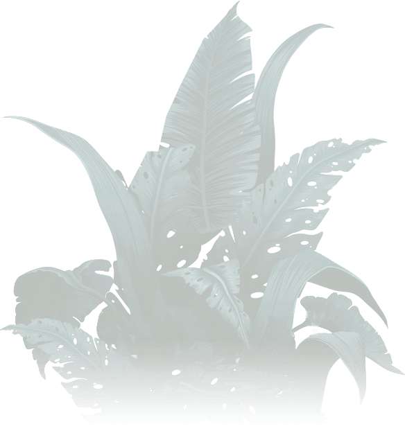 Plant Tree